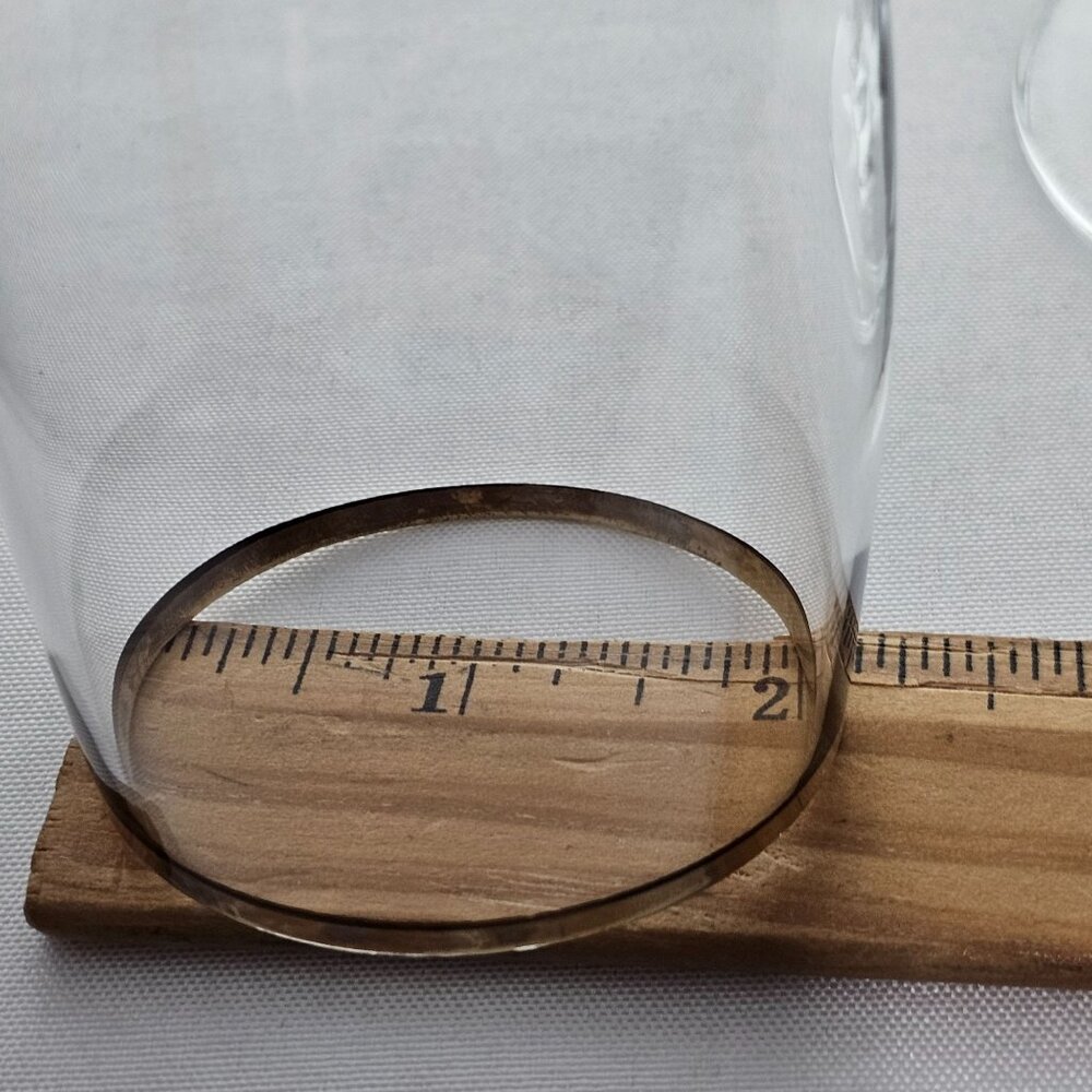 2 Schott Zwiesel Concord Gold Champagne Glasses 9" 1990s gold rim stemware vtg G - Picture 9 of 9